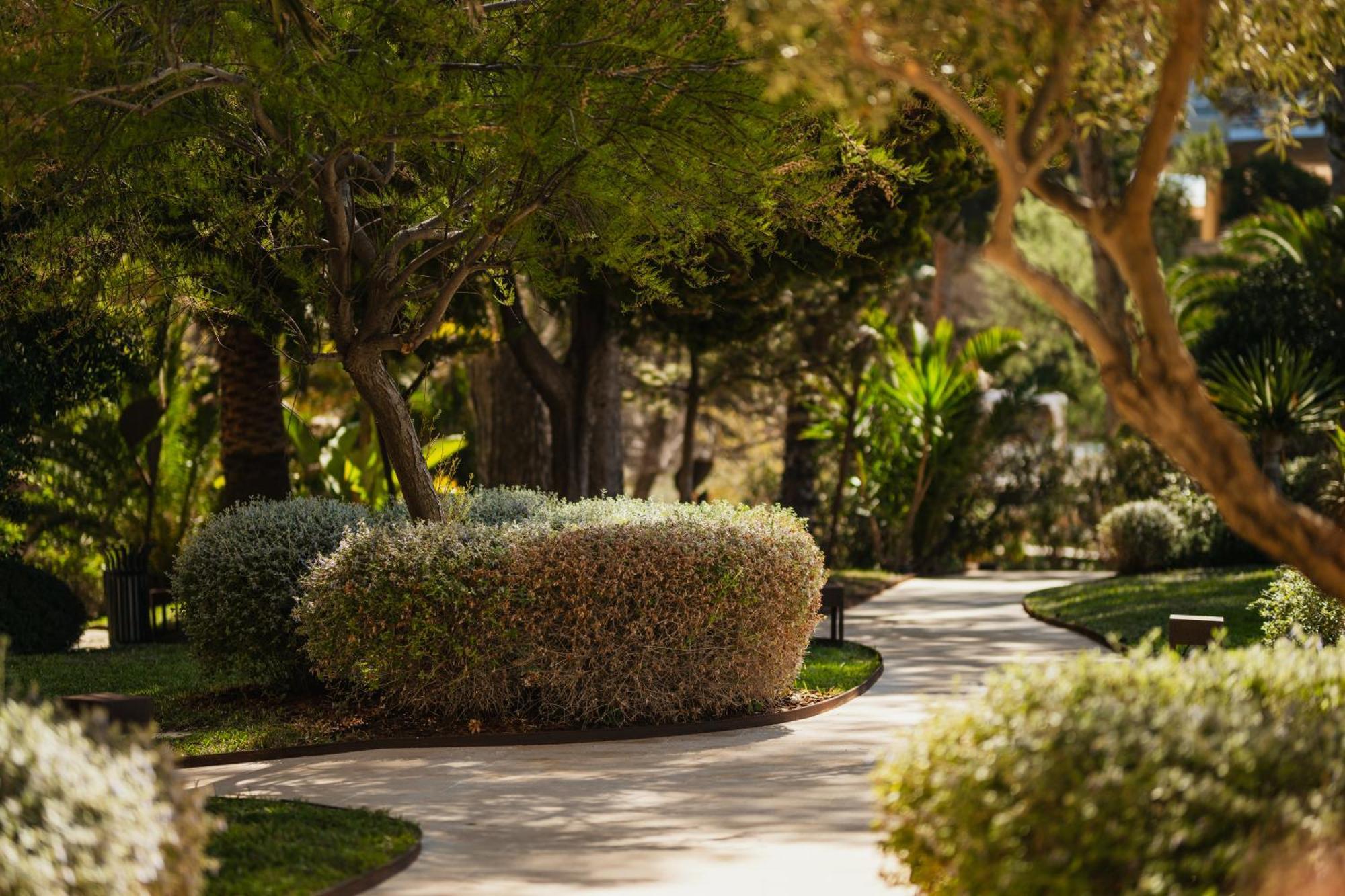 Secrets Mallorca Villamil Resort & Spa - Adults Only Пагера Екстериор снимка A path at the resort